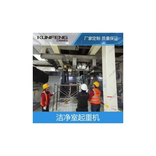 天津核电行业500kg不锈钢起重机