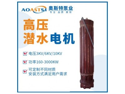 天津高压潜水电动机 高压潜水电机10KV 1162系列高压潜水电动机 奥斯特泵业