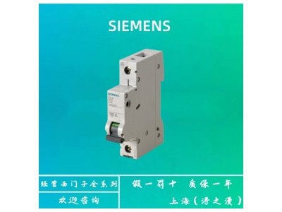 西门子 5SL5系列 小型断路器 125V DC 10kA 1极 B32 5SL5132-6CC总经销商 视频图1