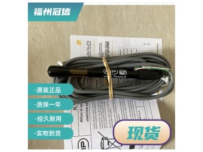 转轮式流量传感器 F3.00 FLS