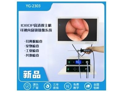 双主机可视内窥镜仪器：YG-2303-24寸屏幕