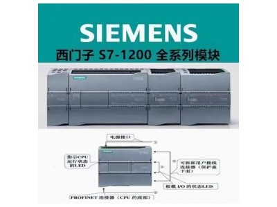 S7-200SMART西门子编程器/西门子代理商PLC模块主机模拟量输出模块