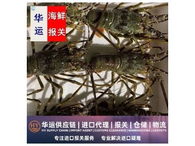 马来西亚活草虾进口全套流程,水产品代理进口报关公司图1